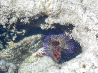 dscn2885