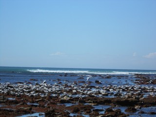 dscn2903