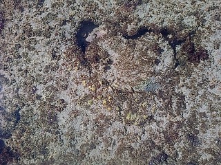 img 20140317 06550