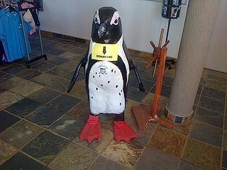 port elizabeth 20140317 06558